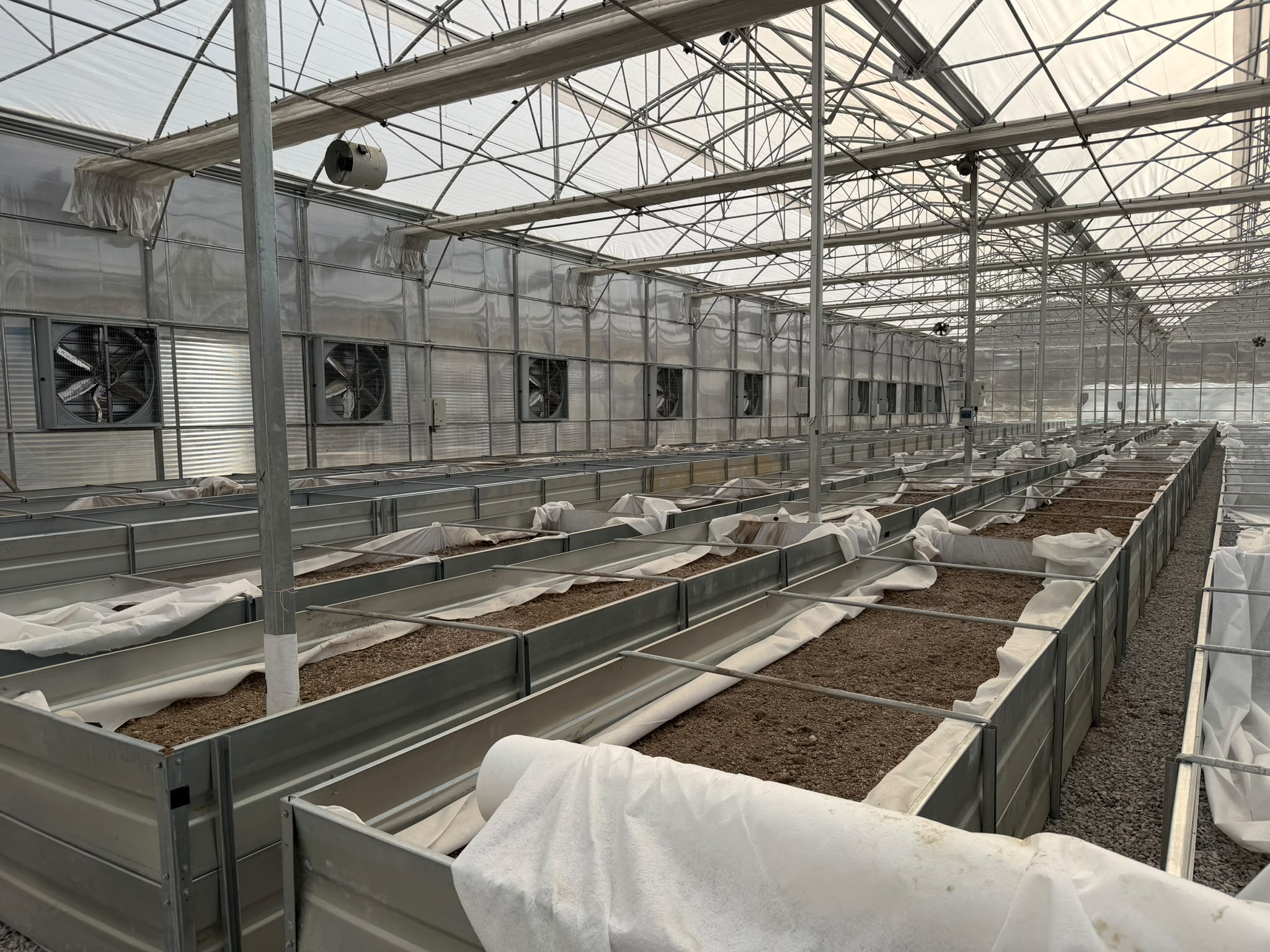 ZQ Organic Moves Toward Commercial Pilot Deployment